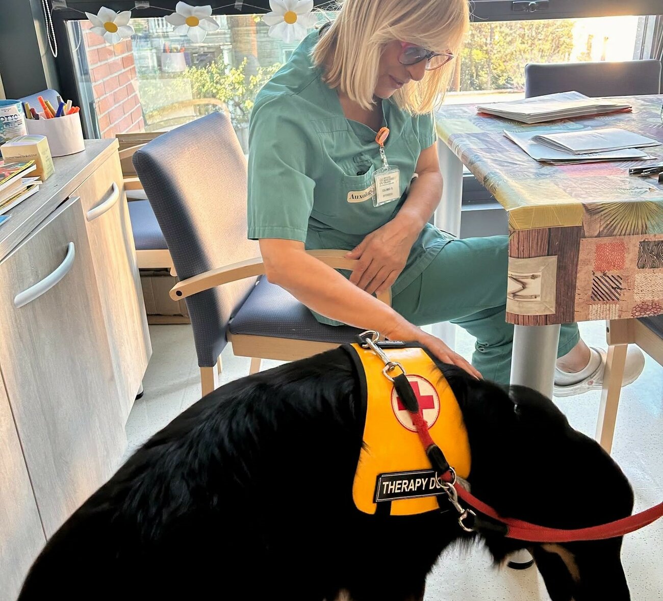 pet therapy disturbi alimentari pet therapy dca