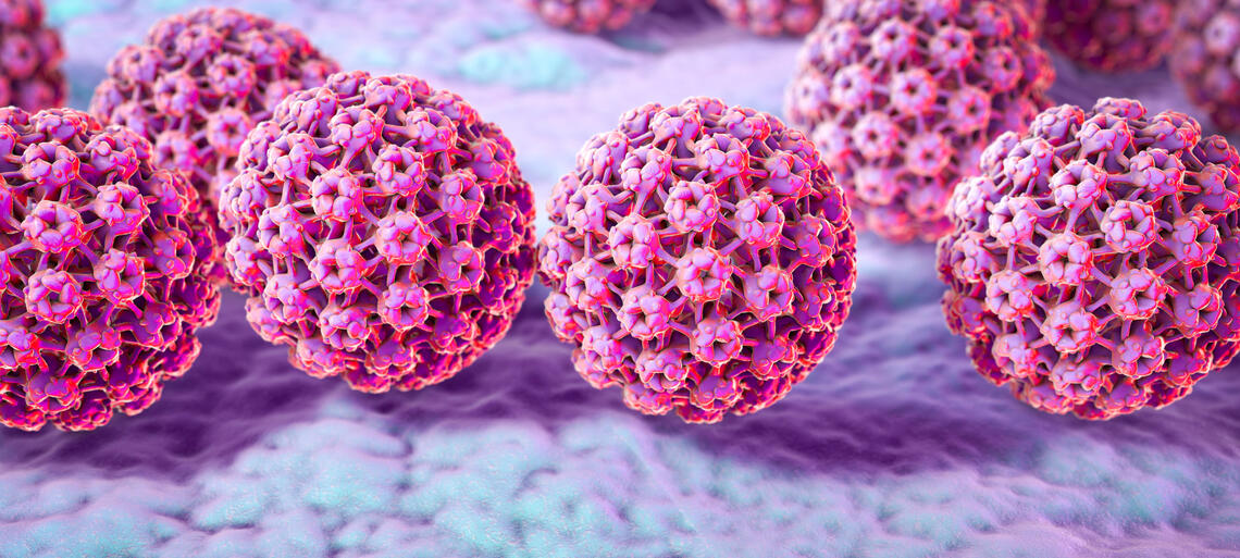 Vaccino anti-HPV [Papilloma Virus]